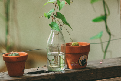 Great Ways to Decorate Your Outdoor Space